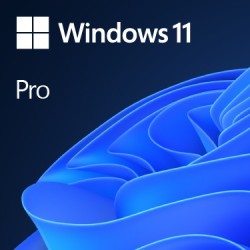 Windows 11 Pro 64 bits.