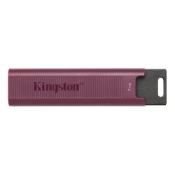 Kingston DT Max 1To