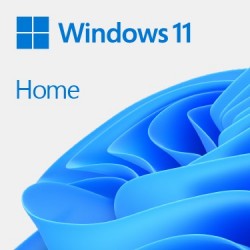 USB Windows 11 Home 64 bits