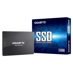 SSD Gigabyte 256Go