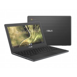 Asus Chromebook C204MA-GJ0438