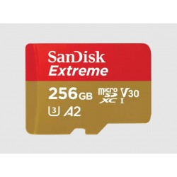 SanDisk Extreme MicroSDXC 256Go