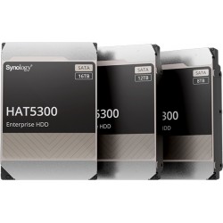 Synology HAT5300 16To SATA