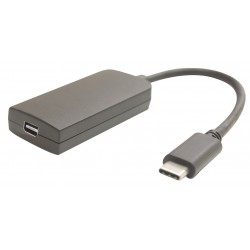 Adaptateur USB3.1 type C mâle vers mini Display Port femelle