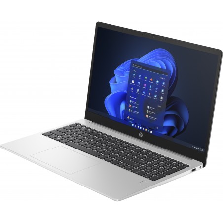 HP 255 G10 (AK9Y0AT)