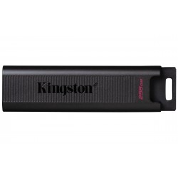 Kingston DataTraveler Max 256Go