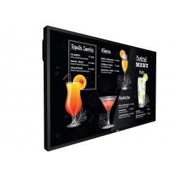 Philips 55BDL3117P
