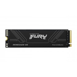 Kingston FURY Renegade G5 4To PCIe