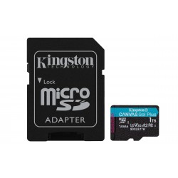 Kingston Go!+ Gen 3 1 To
