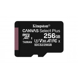 Kingston Select+ SDS2 256Go SP