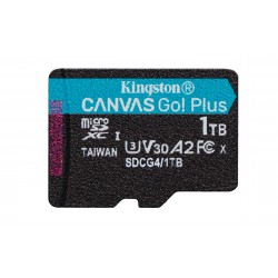 Kingston Go!+ Gen 4 1 To SP