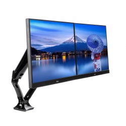 iiyama DS3002C-B1