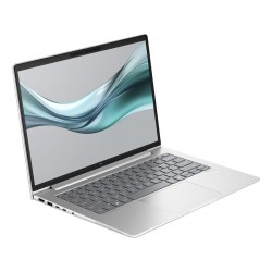 HP EliteBook 665 G11 9B9X9EA