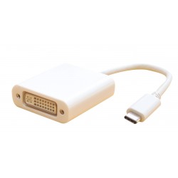 Adapt. DVI-I F/M USB-C