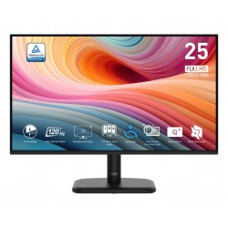 MSI Pro MP251LDE E2