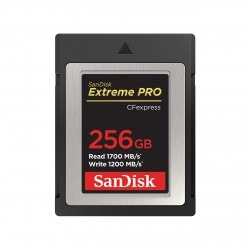 SanDisk 256Go Extreme Pro CF