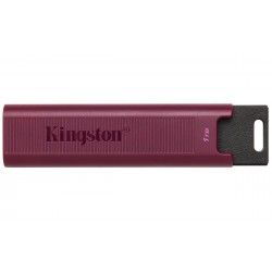 Kingston DT Max 1To