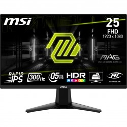 MSI MAG 255XF