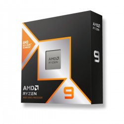 AMD Ryzen 9 9900X3D.