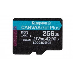 Kingston Canvas Go Plus 256Go