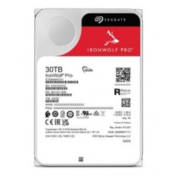 Seagate IronWolf Pro 30 To