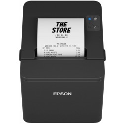 Epson TM-T20IV (101)