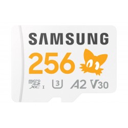 Samsung Sonic Pro+ 256Go