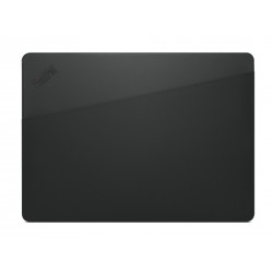 Lenovo ThinkPad Professional