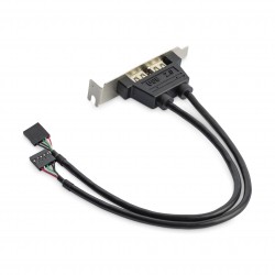 StarTech Équerre USB 2 ports LP