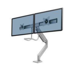 Fellowes Bras écran Eppa Argent