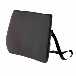 Fellowes support dorsal Breyta