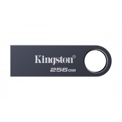 Kingston DataTraveler SE9 G3 256Go