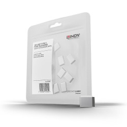 Lindy Verrous USB-C x10 Blanc