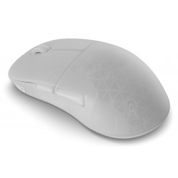 Endgame Gear XM2w 4K v2 Souris