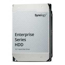 Synology HAS5310-12T 12To SAS