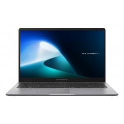 Asus Pro ExpertBook P1