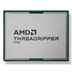 AMD Ryzen ThreadRipper PRO 9965X.