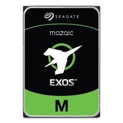 Seagate Exos M 32To ST32000NM004K