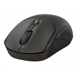 HP 405 Souris silencieuse Noir
