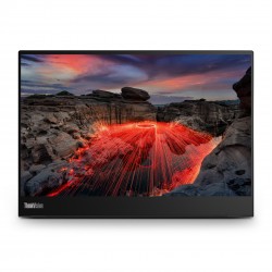Lenovo ThinkVision M14T