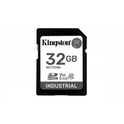 Kingston Industrial 32Go