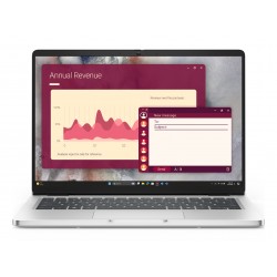 Dell Pro 14 PC14250 (4VJT6)