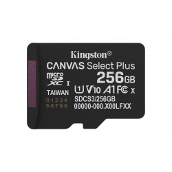 Kingston Canvas Select Plus 256Go