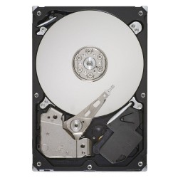 Seagate Pipeline HD 320Go ST3320311CS SATA