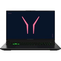 Medion Erazer Defender 17 P10 (MD