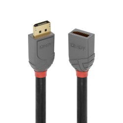 Lindy DisplayPort 1.4 rallonge 3 Anthra