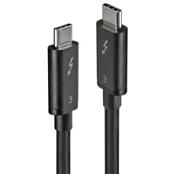 Lindy USB-C 0,5m