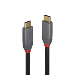 Lindy USB-C USB-C 5A 0,5m Anthra