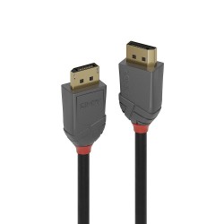 Lindy DisplayPort 1.4 0,5m Anthr