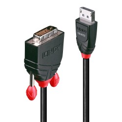 Lindy DisplayPort DVI 2m